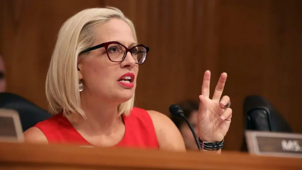 Sinema's Ex-Bodyguard Damaged Home After Demanding Video