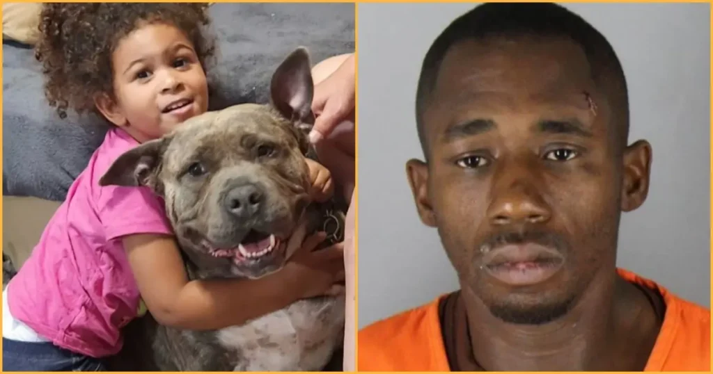 The news photo juxtaposes a heartwarming image of a child and a dog with a mugshot of a man, possibly indicating a legal or criminal context related to the child and the dog.