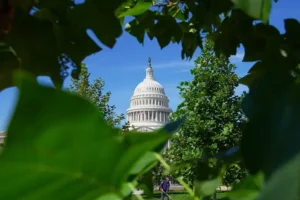 The image shows the U.S. Capitol Building framed by lush green foliage, with a person mowing the lawn in the foreground.