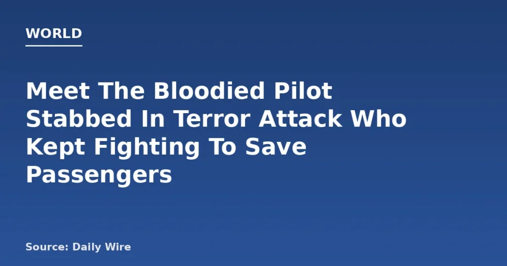 Pilot Stabbed in Hijack Attempt Saves Lives on Flydubai Flight