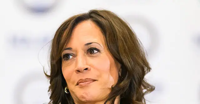 The image shows a person with shoulder-length brown hair, wearing a dark top and earrings, against a blurred background.