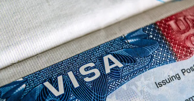 The image shows a close-up of a U.S. visa document, highlighting the intricate design and security features.