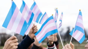 A group of people wave Transgender Pride flags in a public demonstration.