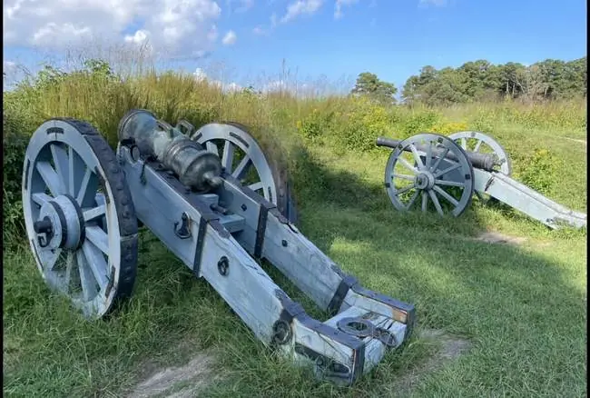 The image shows two old cannons resting on wooden carriages in a grassy field under a partly cloudy sky.