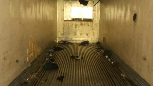 The image shows a dilapidated room with a wooden floor, debris scattered around, and a window letting in light.
