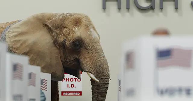 The image depicts an elephant in a voting booth, with an American flag and a sign indicating "Photo ID Required" in the background.
