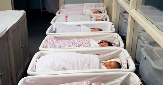 The image shows a row of newborn babies wrapped in blankets and sleeping in individual cribs in a hospital setting.