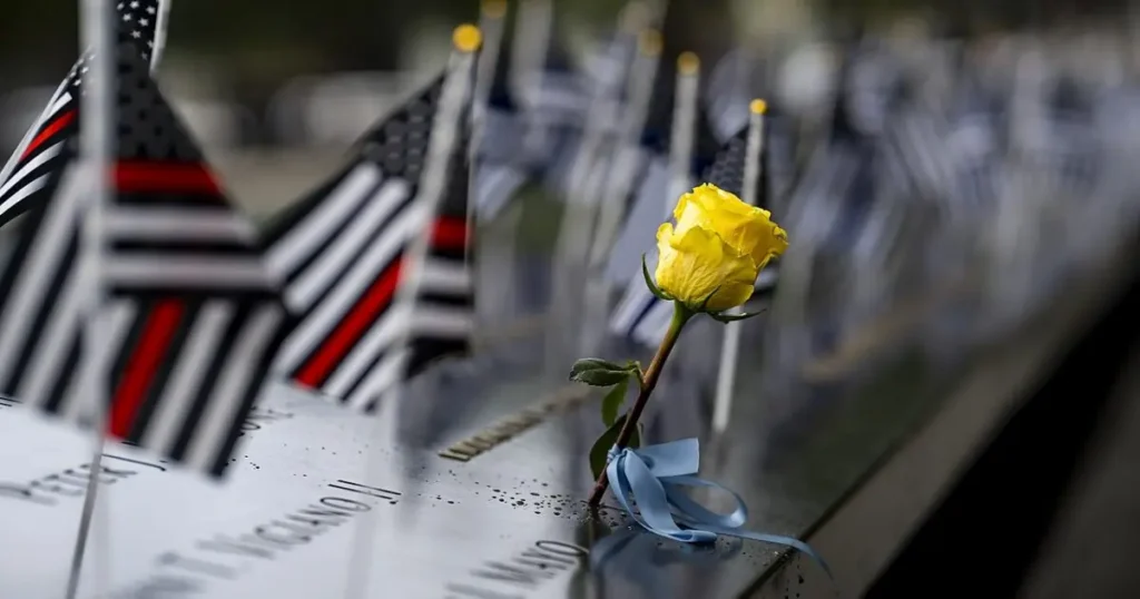 A yellow rose with a blue ribbon is placed on a memorial wall adorned with American flags, symbolizing remembrance and tribute.