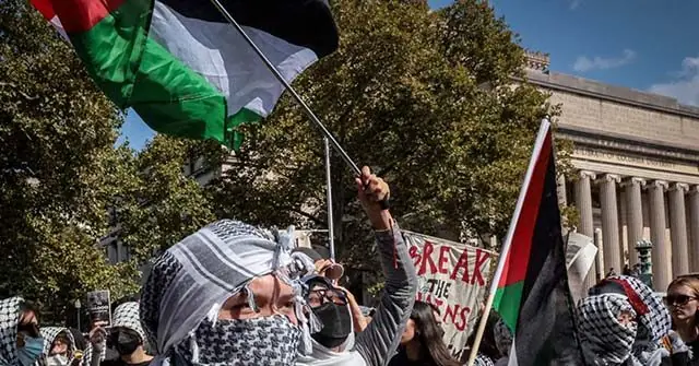A protestor waves a Palestinian flag and raises a fist in solidarity, with others holding signs and flags in the background.