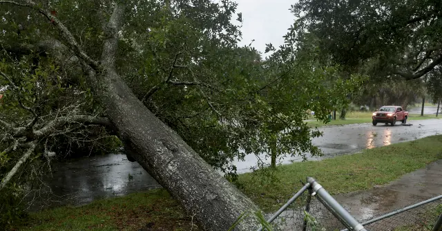 A fallen tree blocks a road in a residential area after a storm.
